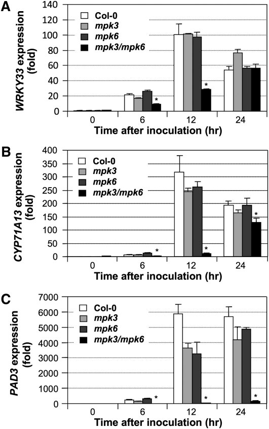 Figure 3.