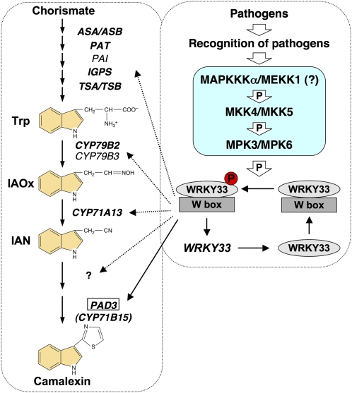 Figure 10.