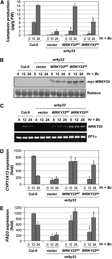 Figure 5.