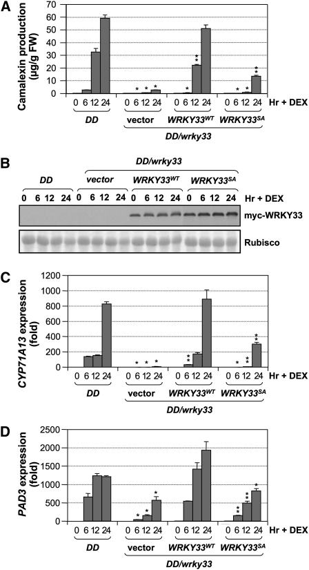 Figure 6.