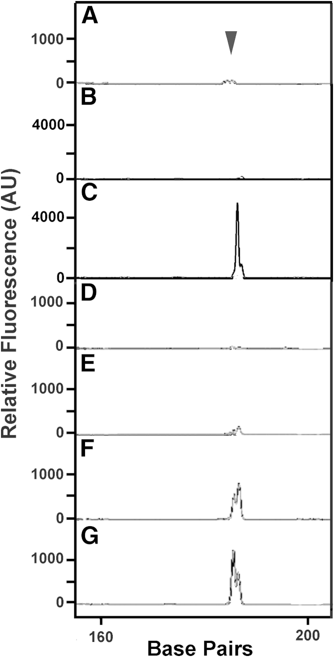 Figure 5