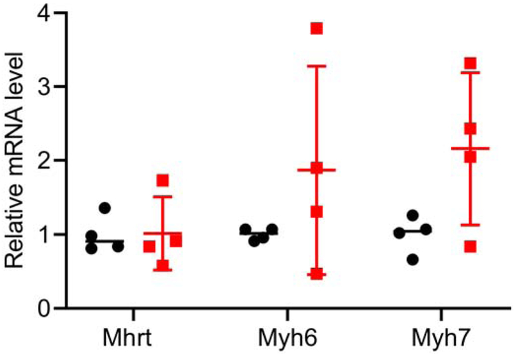 Figure 9.