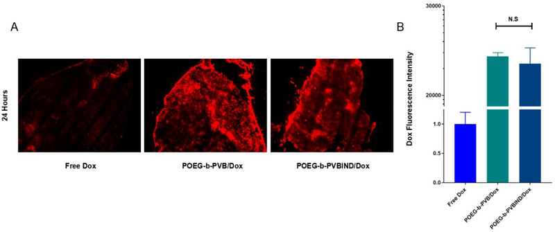 Figure 3 |