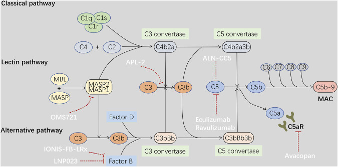 FIGURE 2