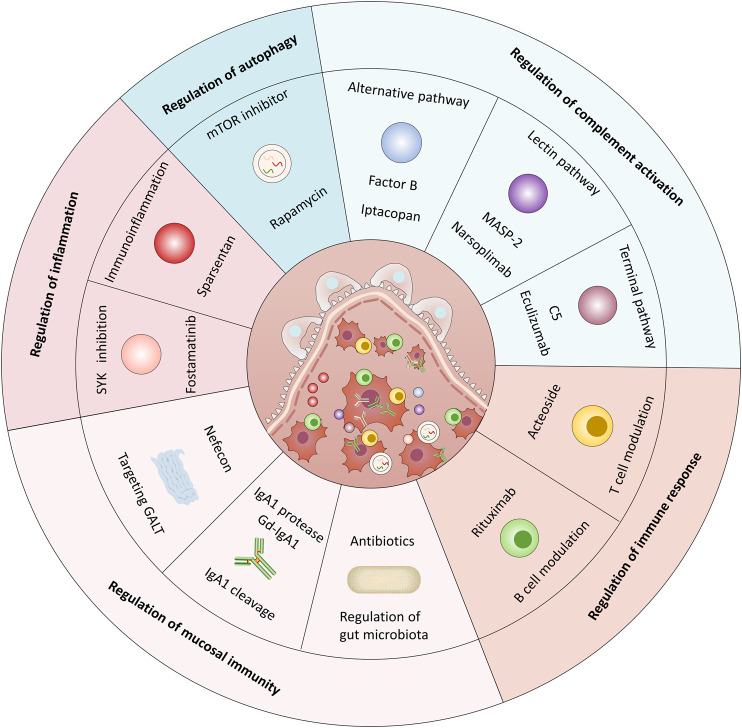 GRAPHICAL ABSTRACT