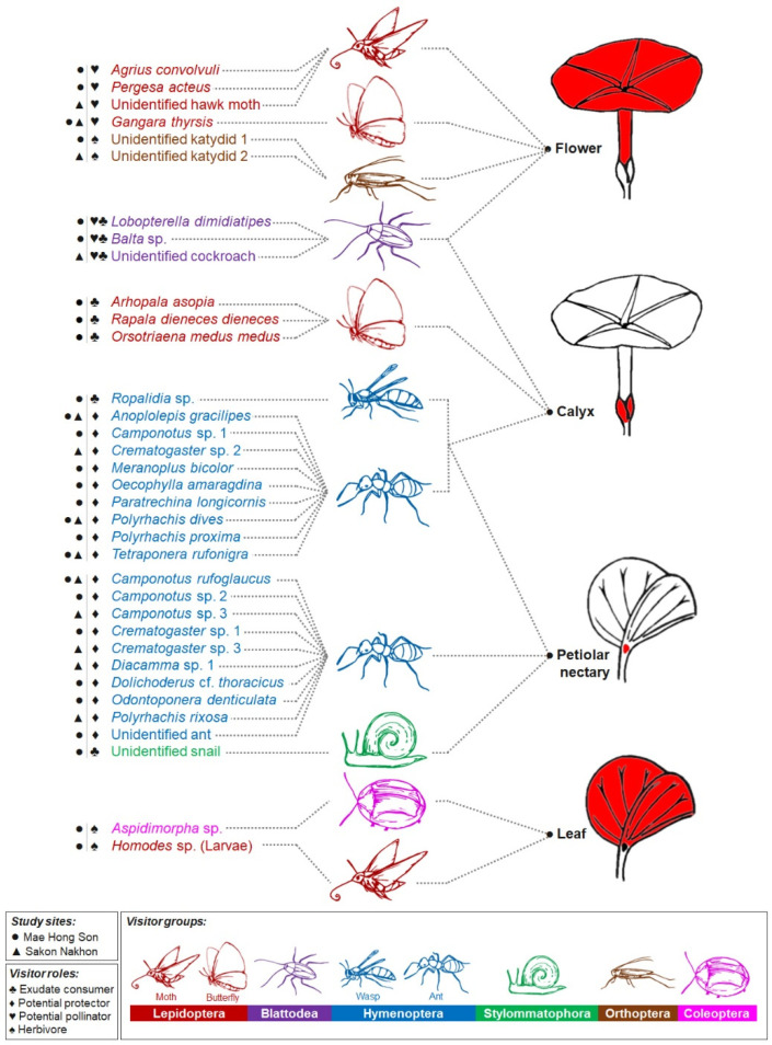 Figure 10