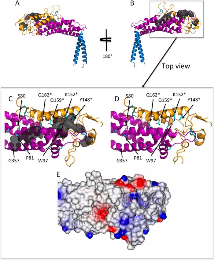 FIGURE 4.