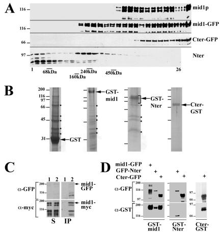 FIG. 8.