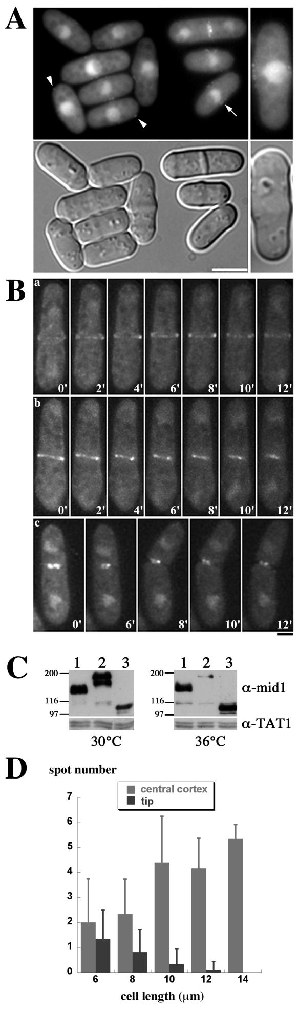 FIG. 7.