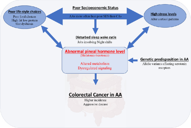 Image, graphical abstract