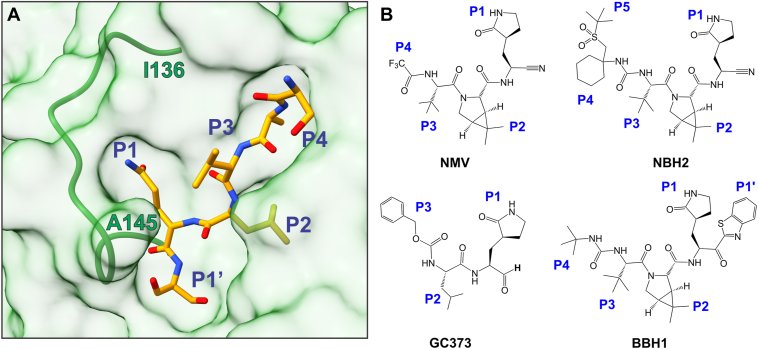 Figure 1