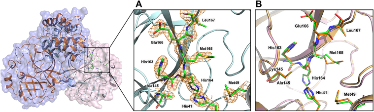 Figure 3