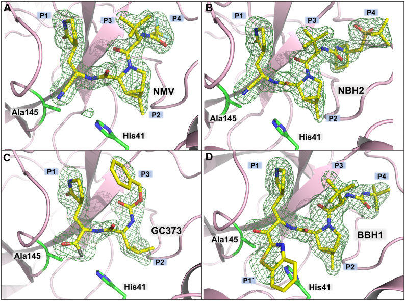 Figure 4