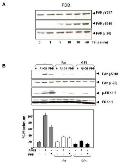 Figure2