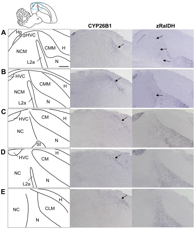 Figure 15