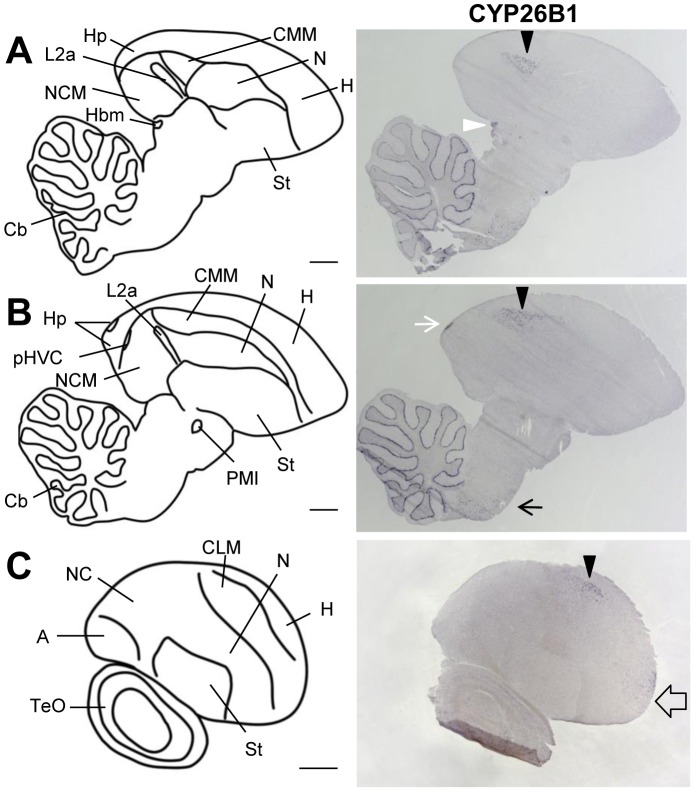 Figure 14