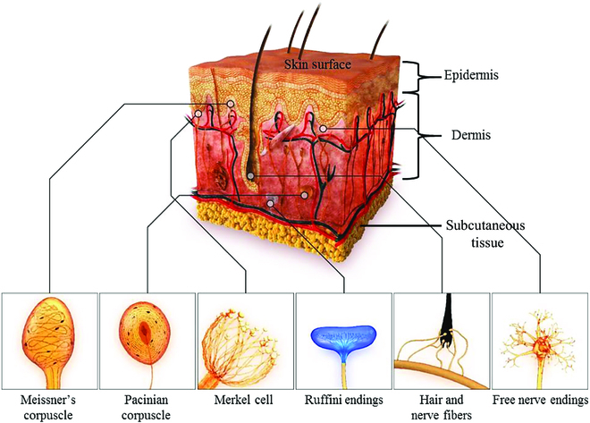 Fig. 2.