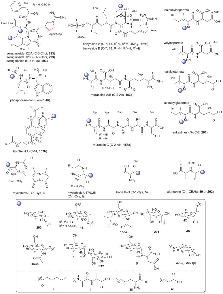 Fig. 51