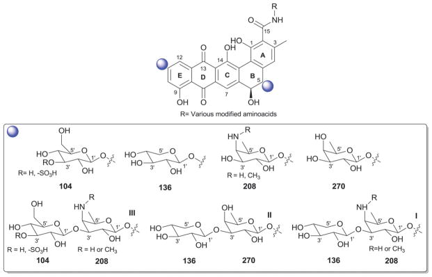 Fig. 24