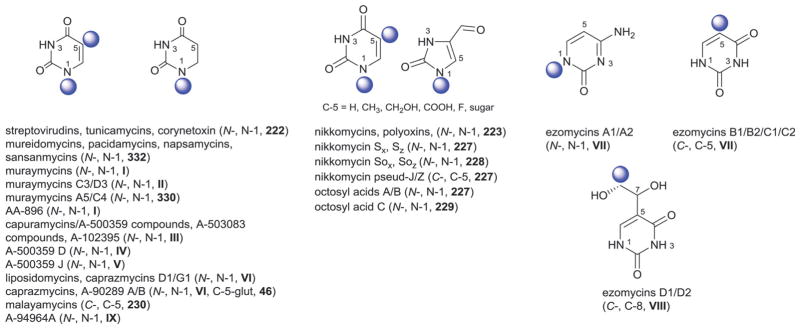 Fig. 38