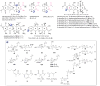 Fig. 20
