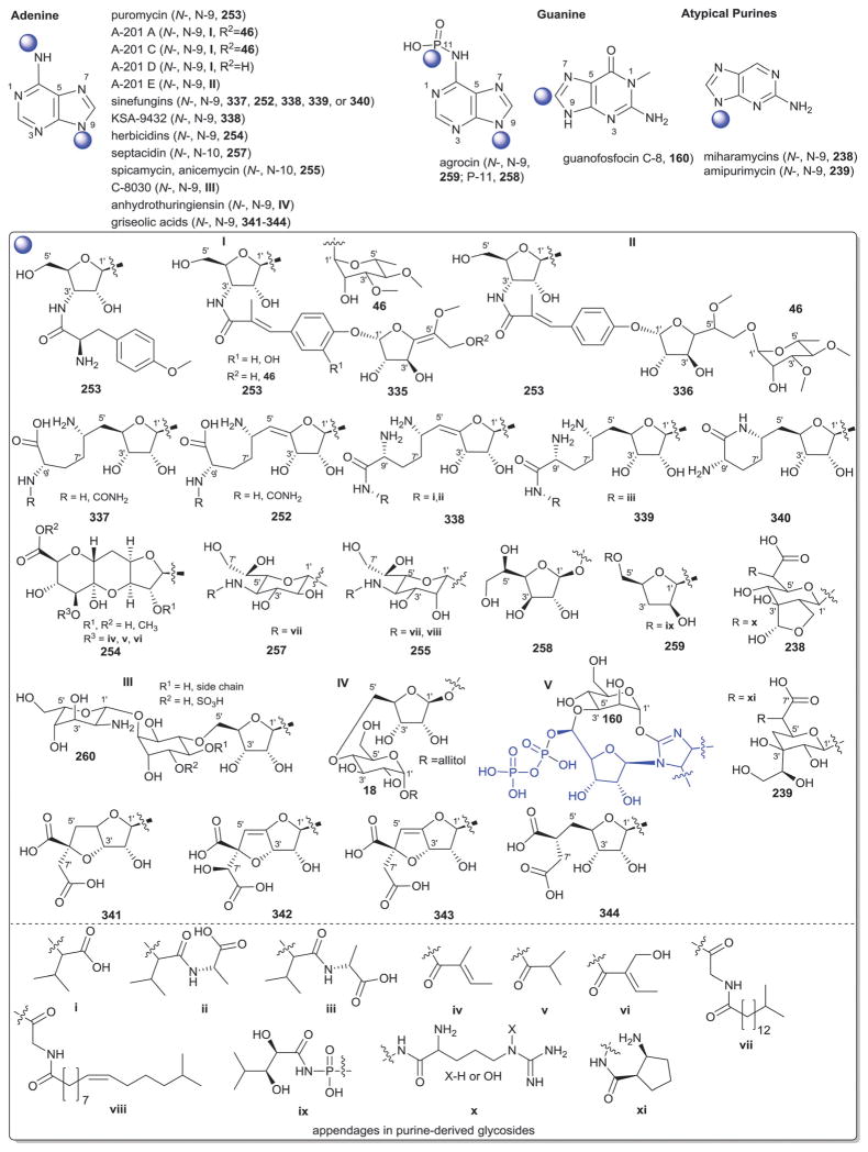 Fig. 41
