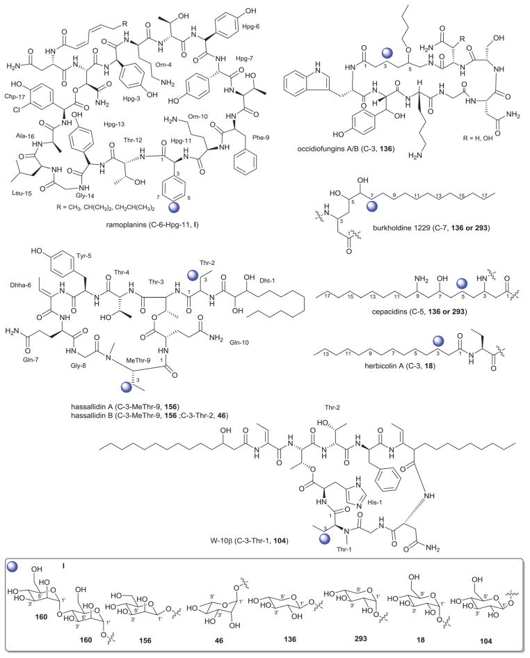 Fig. 49