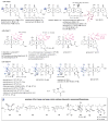 Fig. 22