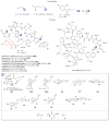 Fig. 48