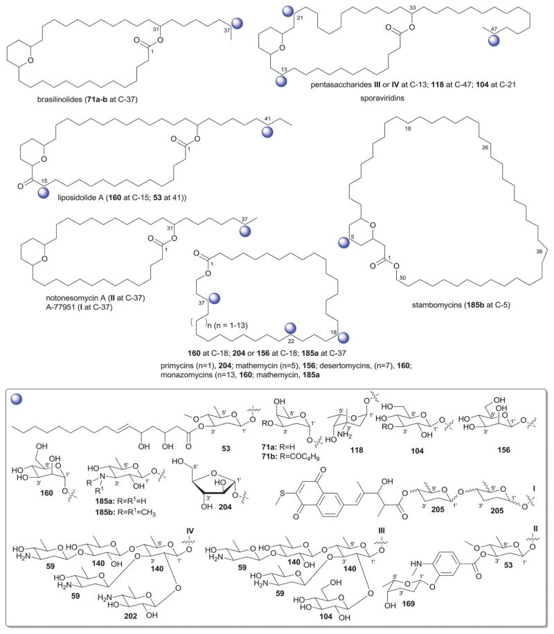 Fig. 35