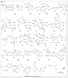 Fig. 39