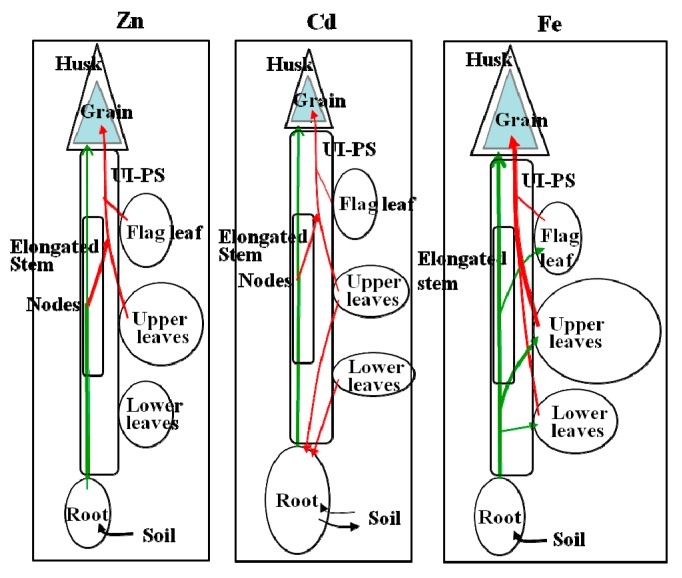 Figure 7