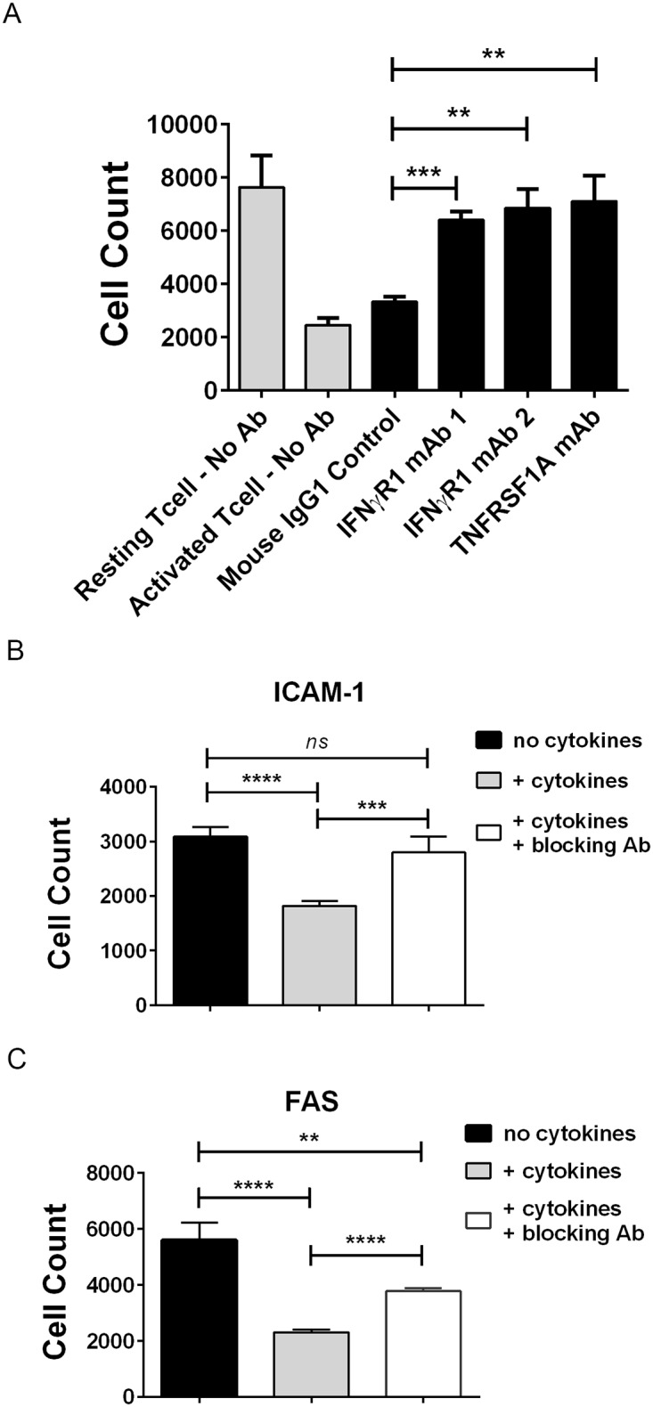 Fig 7