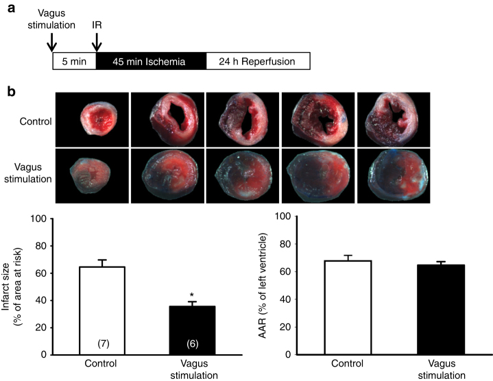 Fig. 10