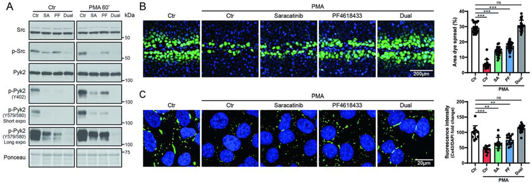 Figure 5: