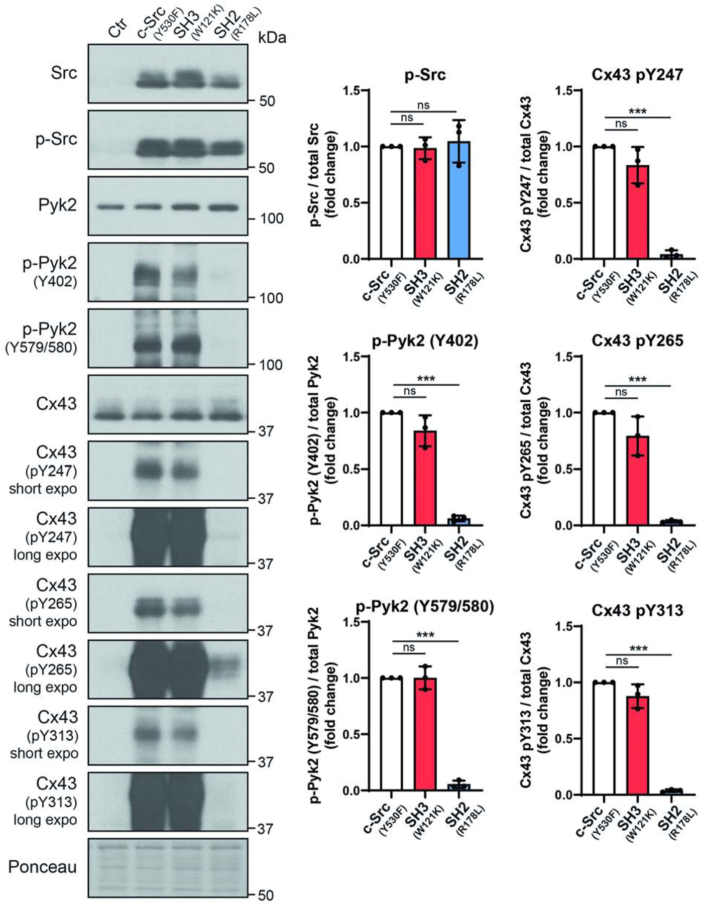 Figure 4: