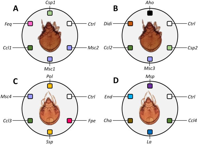 Fig. 2