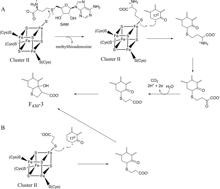 FIG 7