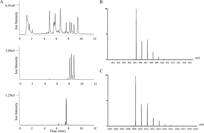 FIG 2