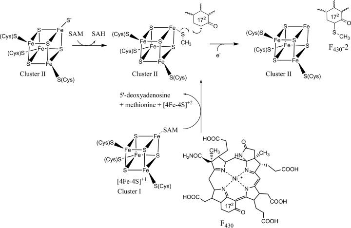 FIG 6