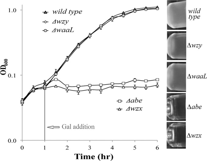 FIG 3 