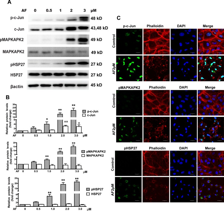 Fig 4