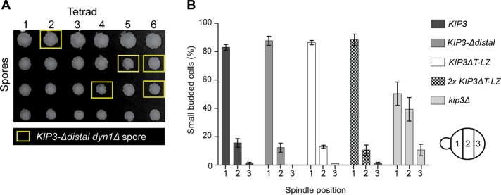 FIGURE 3: