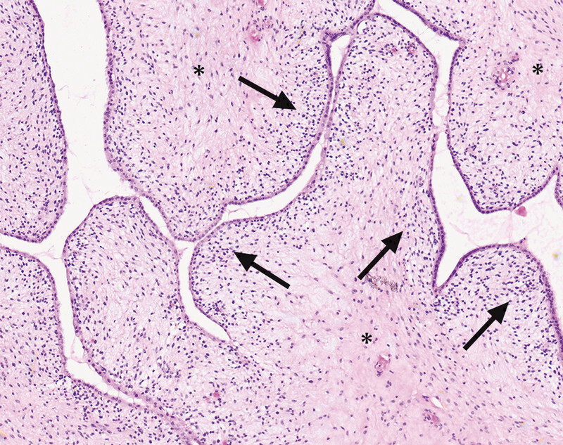 Fig. 7