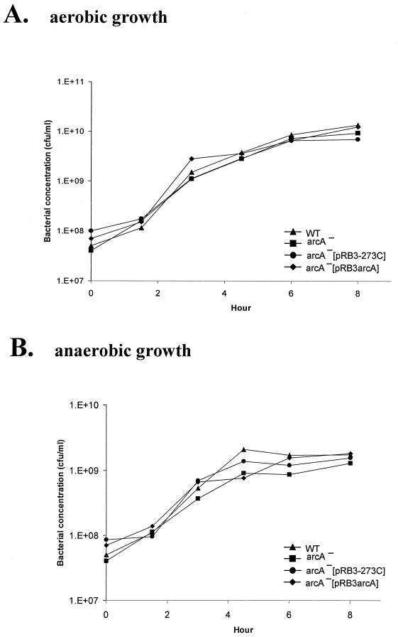 FIG. 5.