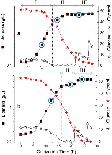 Fig. 3