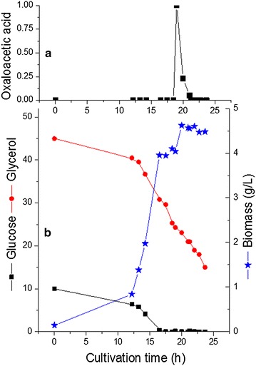 Fig. 7