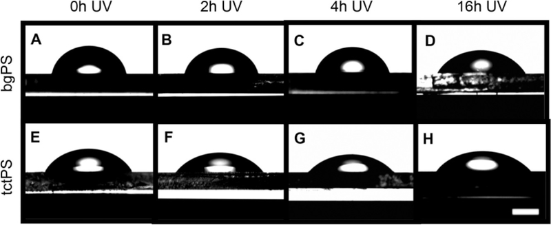 Figure 2: