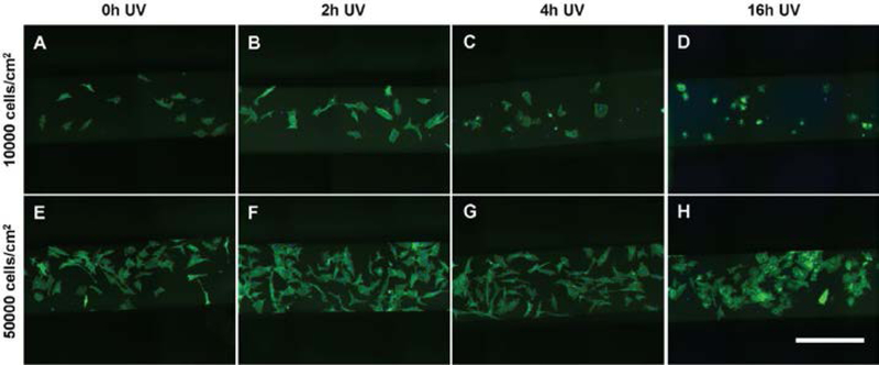 Figure 4: