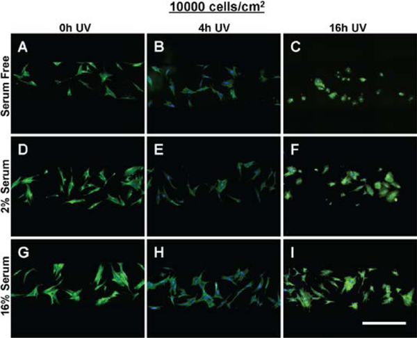 Figure 6: